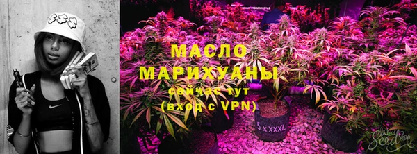 крисы Нея