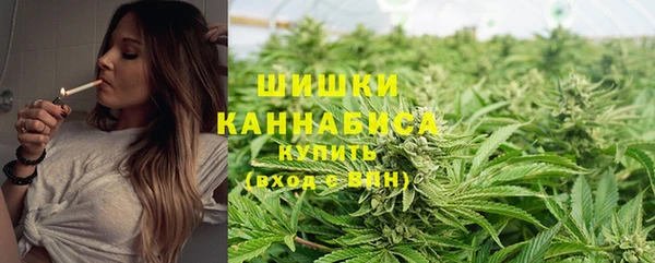 крисы Нея