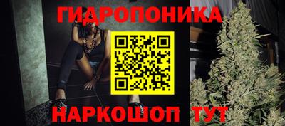 дмт Кандалакша