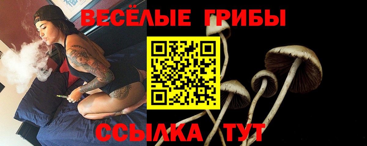 Псилоцибиновые грибы Magic Shrooms  Вход с VPN  Псилоцибиновые грибы прущие грибы  Унеча 