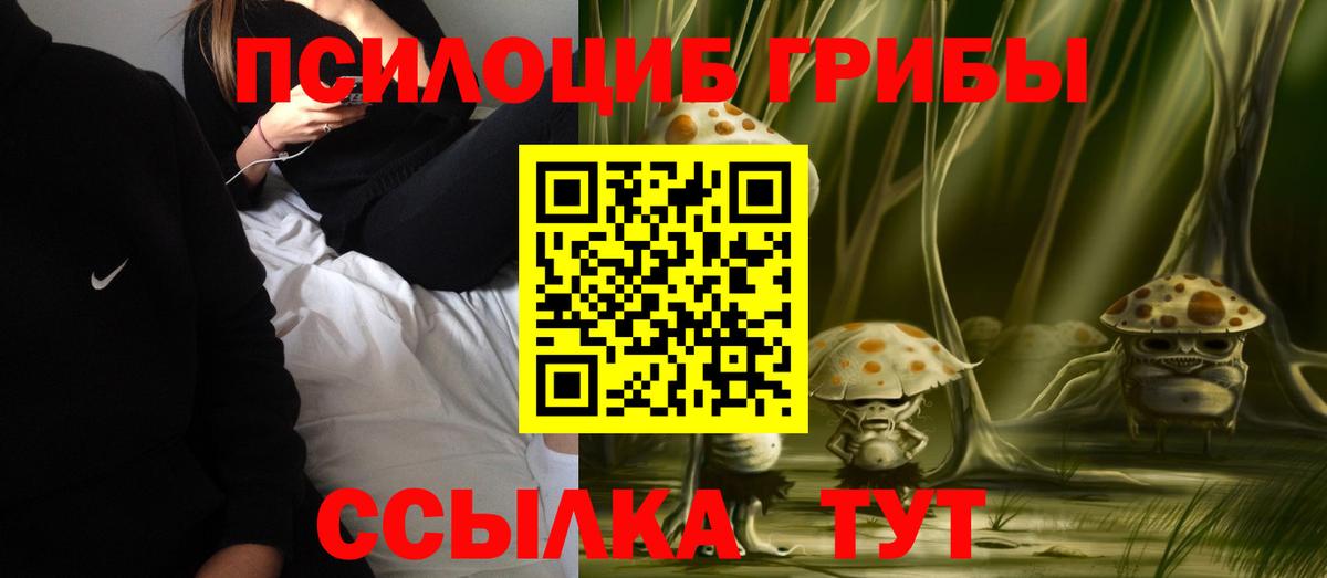 Псилоцибиновые грибы мицелий Унеча