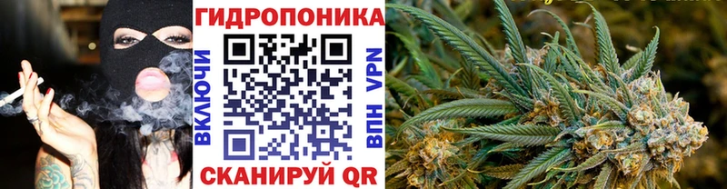 МАРИХУАНА сатива Унеча